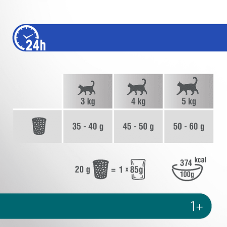 Perfect Fit Sterile Sucha Karma Dla Kotów Sterylizowanych Z Kurczakiem 750g
