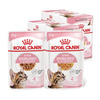Royal Canin FHN Kitten Sterilised w Sosie i Galaretce 24x85g Karma Mokra Dla Kociąt Sterylizowanych Do 12 Miesiąca Życia