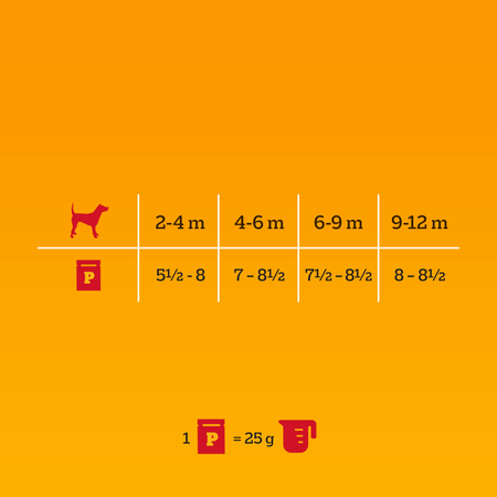 Pedigree Junior Mokra Karma Dla Psa Kawałki Bogate W Kurczaka W Galaretce 6x100g