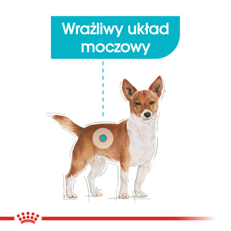 Royal Canin CCN Mini Urinary Care 3kg Karma Sucha Dla Psów Dorosłych Ras Małych Ochrona Dolnych Dróg Moczowych