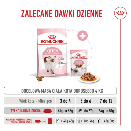 Royal Canin FHN Kitten 2kg Karma Sucha Dla Kociąt Od 4 Do 12 Miesiąca Życia