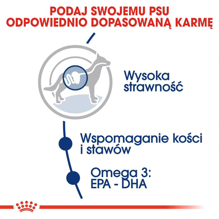 ROYAL CANIN Maxi Adult 2x15kg karma sucha dla psów dorosłych do 5 roku życia ras dużych