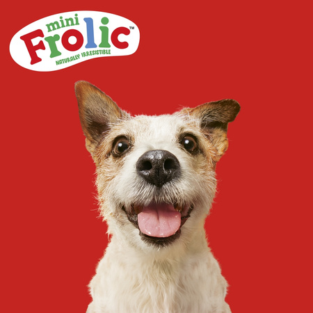 Frolic Mini Naturally Irresistible 800g Półwilgotna Karma Sucha Ze Świeżą Wołowiną Dla Psów Małych Ras
