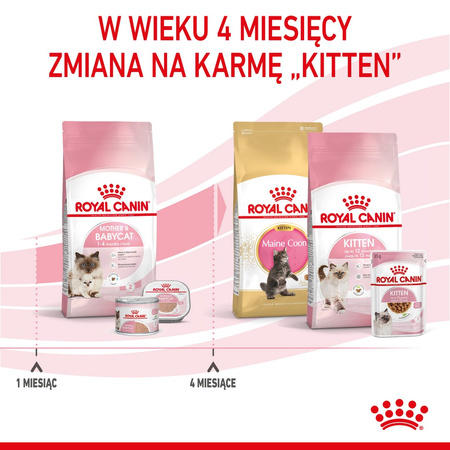 Royal Canin Mother&babycat 2kg Karma Sucha Dla Kotek W Okresie Ciąży, Laktacji I Kociąt