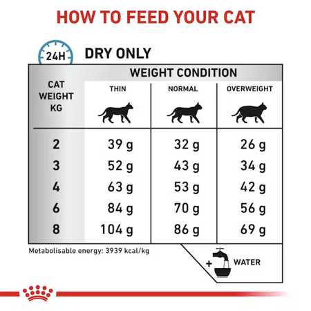Royal Canin Veterinary Anallergenic 4kg Sucha Karma Dla Kotów Zmniejszająca Ryzyko Nietolerancji Pokarmowej
