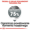 Royal Canin CCN Maxi Dental Care 9kg Karma Sucha Dla Psów Dorosłych Ras Dużych Redukująca Powstawanie Kamienia Nazębnego