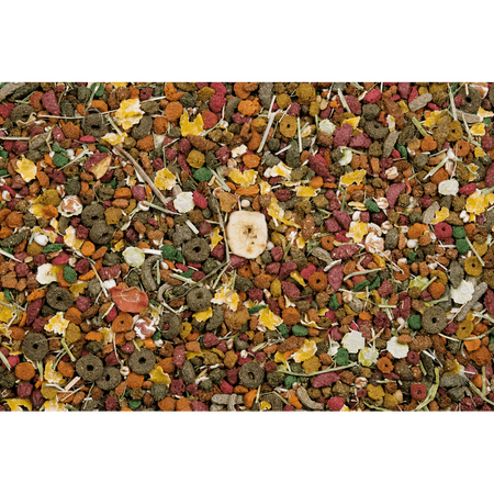 VERSELE-LAGA Cavia Nature Original 9kg - pokarm wysokobłonnikowa mieszanka dla kawii domowych