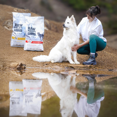 Raw Paleo Ultra Turkey Medium & Large Adult 10kg Monoproteinowa Sucha Karma Z Indykiem Dla Psa