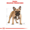 Royal Canin BHN French Bulldog Adult 1,5kg Karma Sucha Dla Psów Dorosłych Rasy Bulldog Francuski