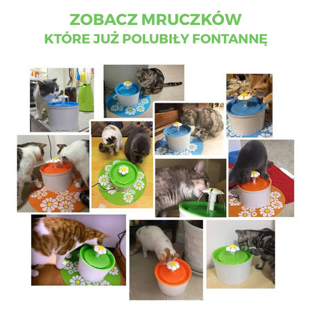 Fontanna dla kota 1.6L Automatyczny dozownik wody poidło z filtrem i USB, Zielony