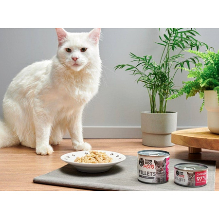 John Dog for Cats Mokra Karma Dla Kociąt Filety Z Kurczaka 24x70g