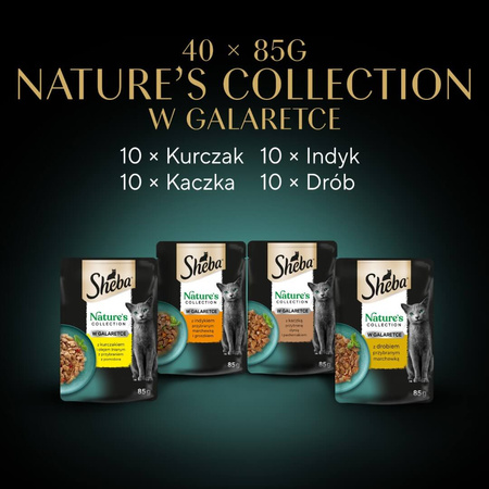 Sheba Nature’s Collection Drobiowe Smaki 40x85g Mokra Karma Pełnoporcjowa Dla Kota W Galaretce