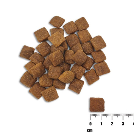 Raw Paleo Healthy Grain Adult Lamb Barley Sucha Karma Z Jagnięciną Dla Psów Dorosłych 10kg