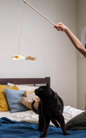 Zabawka Interaktywna Wędka Dla Kota Mysz Duża Biała 40cm