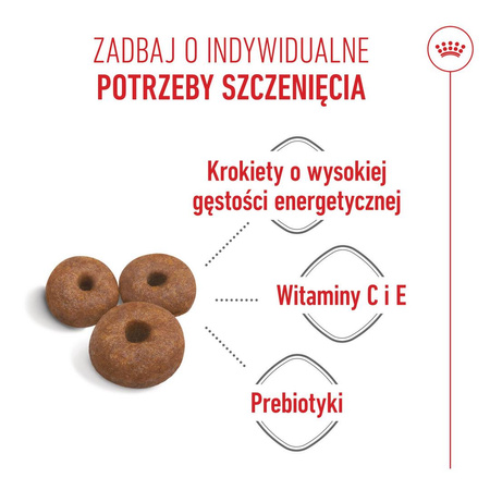 Royal Canin Giant Starter Mother & Babydog 15kg Karma Sucha Dla Suk W Czasie Ciąży Laktacji I Szczeniąt Ras Olbrzymich