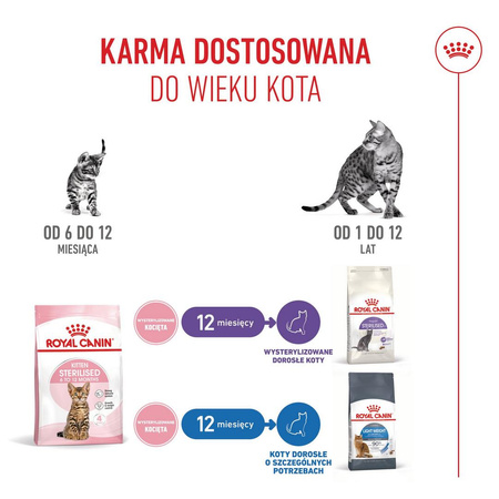 Royal Canin Kitten Sterilised 3,5kg Karma Sucha Dla Kociąt Sterylizowanych Od 4 Do 12 Miesiąca Życia