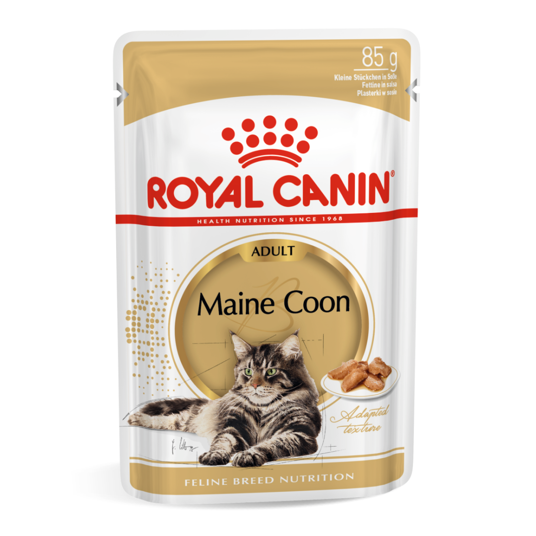 Royal Canin FBN Maine Coon Adult Karma Mokra W Sosie