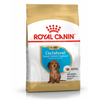 Royal Canin BHN Dachshund Puppy 1,5kg Karma Sucha Dla Szczeniąt Do 10 Miesiąca Rasy Jamnik