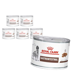 Royal Canin Veterinary VHN Dog Gastrointestinal 6x200g Mokra Karma Pasztet Dla Psów z Zaburzeniami Trawienia