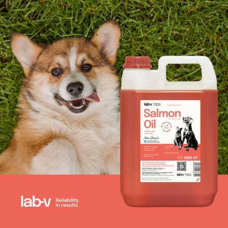 LAB-V Olej Z Łososia 100% Dla Psa I Kota 5L Na Skórę Sierść I Alergie