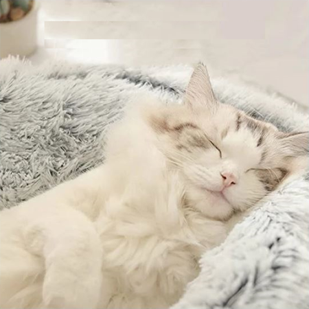 Legowisko Pluszowe dla Psa Kota z Kocykiem Brązowe S