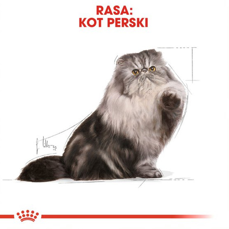 Royal Canin FBN Persian Adult 12x85g Karma Mokra Pasztet Dla Kotów Dorosłych Rasy Pers