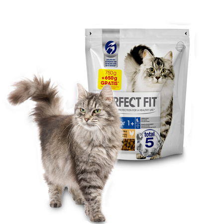 Perfect Fit Indoor 6x1400g Bogaty w Kurczaka - Sucha Karma dla Kotów Domowych 750g + 650g GRATIS