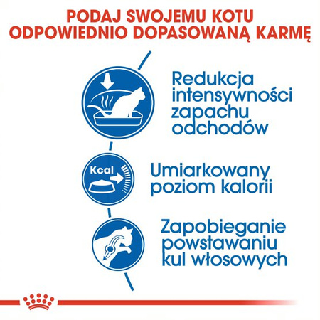 Royal Canin Indoor 27 Adult 4kg Sucha Karma Dla Dorosłych Kotów Niewychodzących