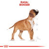 Royal Canin BHN Boxer Puppy 12kg Karma Sucha Dla Szczeniąt Do 15 Miesiąca Rasy Bokser