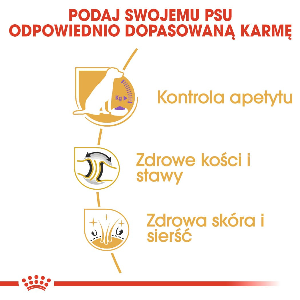 Karma Sucha Dla Psów Dorosłych Rasy Labrador Retriever Sterylizowanych