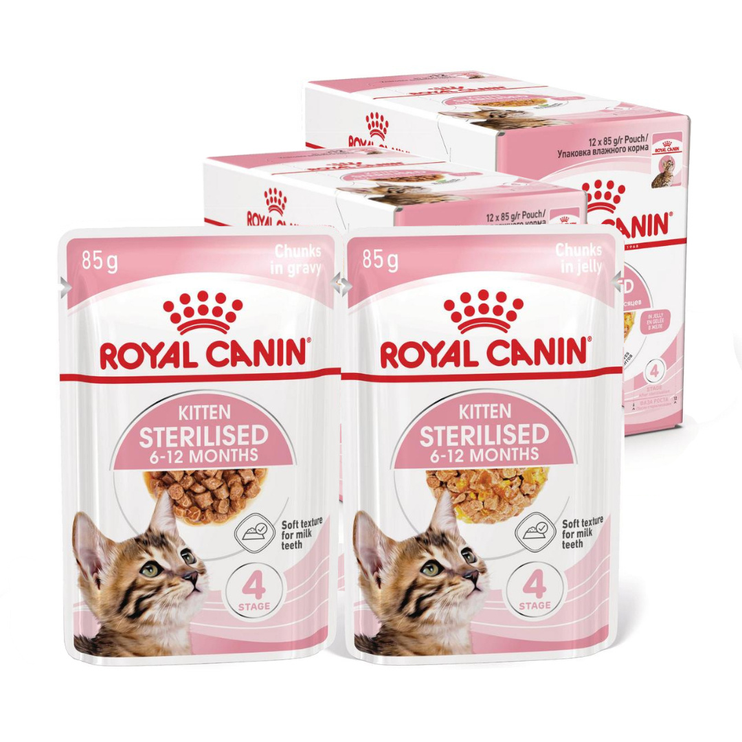 Royal Canin Kitten Sterilised W Galaretce i Sosie Karma Mokra Dla Kociąt