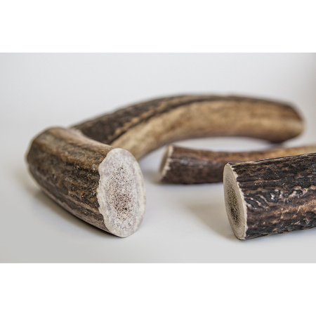 RECOSNACK Antler dog chew - gryzak z poroża jelenia M