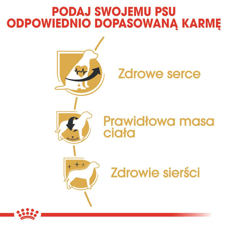 Royal Canin BHN Cavalier King Charles Spaniel Adult 1,5kg Karma Sucha Dla Psów Dorosłych Rasy Cavalier King Charles Spaniel