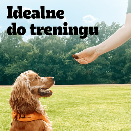 Pedigree Ranchos Sausages 60g Naturalny Przysmak dla Psa Z Wieprzowiną I Soczystymi Jabłkami