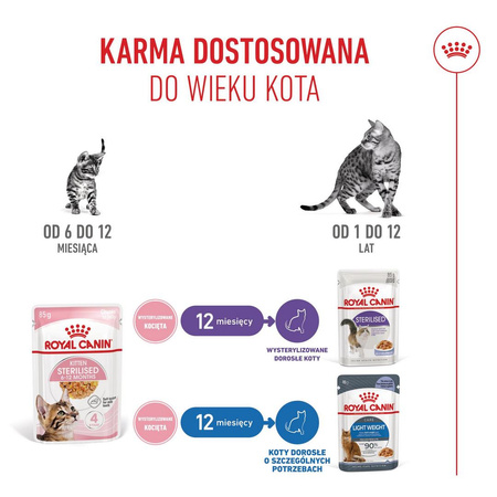 Royal Canin FHN Kitten Sterilised W Galaretce 24x85g Karma Mokra Dla Kociąt Sterylizowanych Do 12 Miesiąca Życia