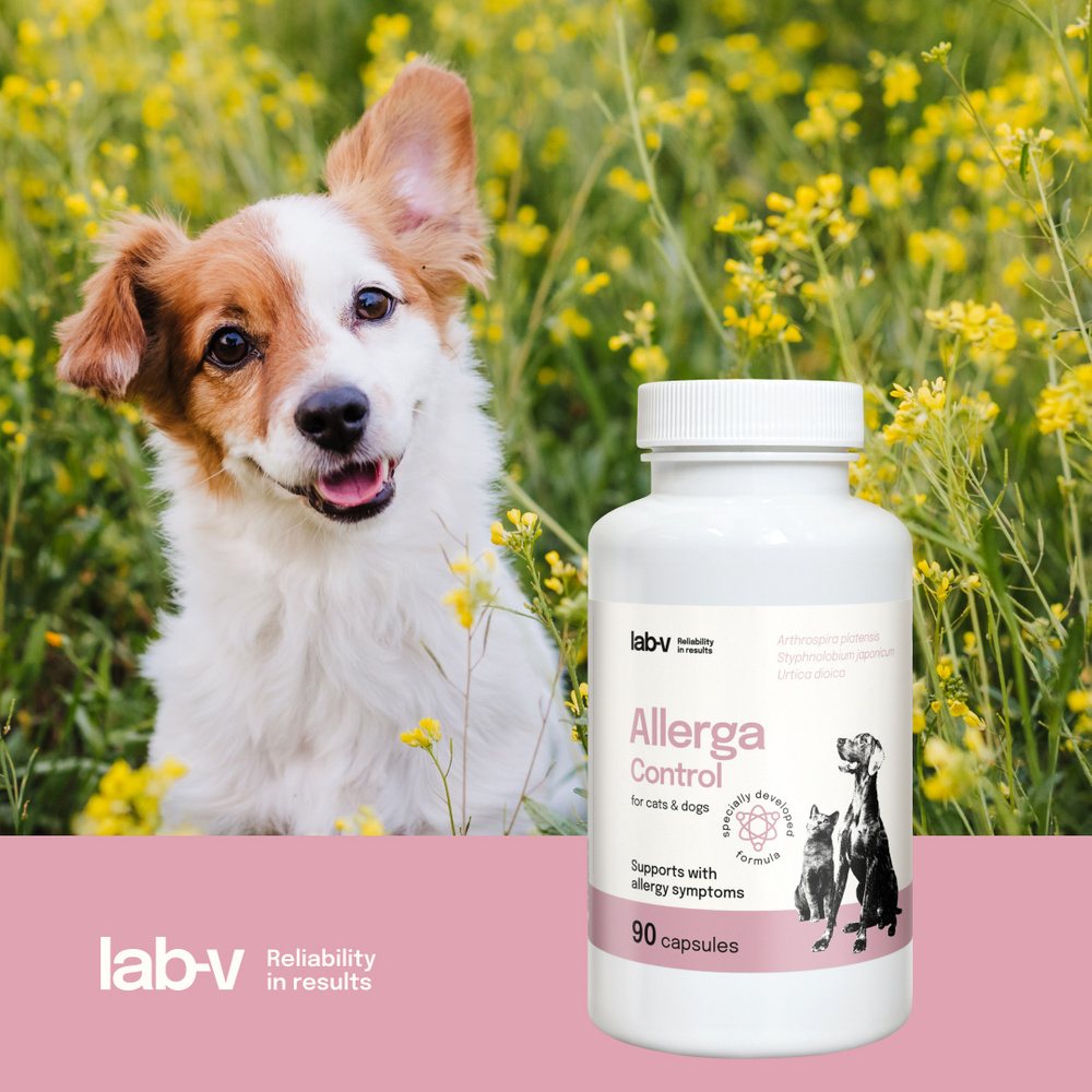 Allerga Control to specjalistyczny preparat w formie kapsułek, opracowany z myślą o psach i kotach zmagających się z objawami alergii.