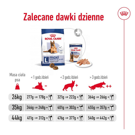 Royal Canin SHN Maxi Adult 8+ 15kg Karma Sucha Dla Psów Dojrzałych Po 8 Roku Życia Ras Dużych