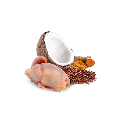 Farmina N&D Cat Quinoa Skin & Coat Quail & Coconut 6x80g Mokra Karma Dla Kota Przepiórka Z Kokosem Na Skórę I Sierść