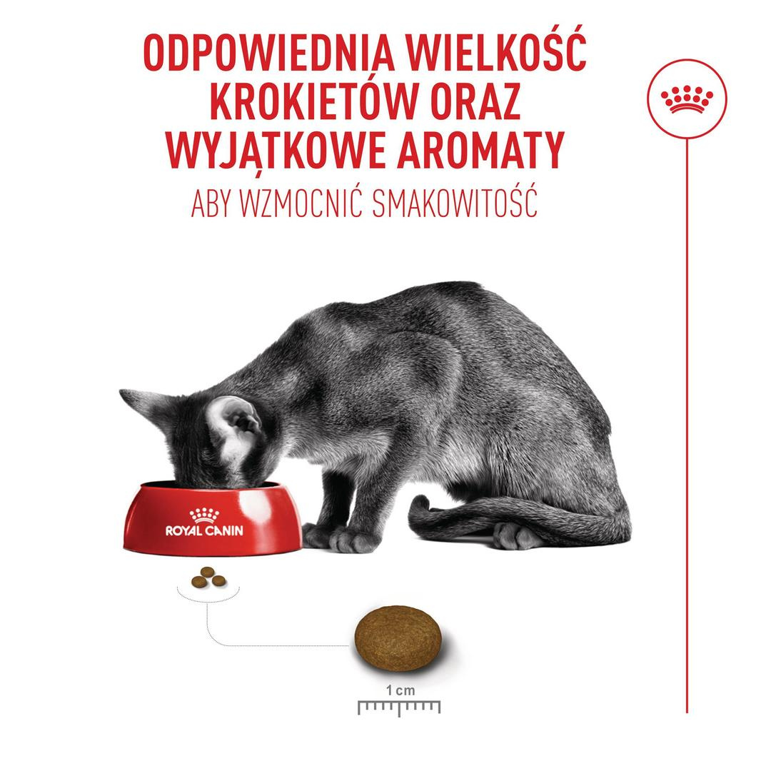 ROYAL CANIN Fussy odpowiada na potrzeby najbardziej wybrednych kotów.