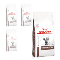 Royal Canin Veterinary Gastrointestinal 4x400g Sucha Karma Dla Kotów Z Wrażliwym Układem Pokarmowym