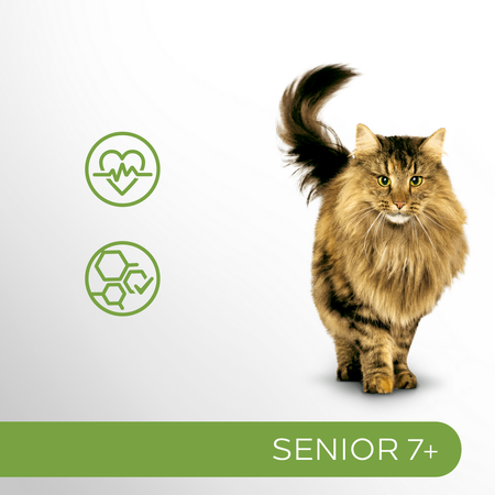 Perfect Fit Senior 7+ 85g Mokra Karma Dla Starszych Kotów Z Indykiem I Marchewką W Sosie