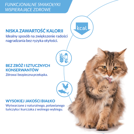 Inaba Cat Churu Hairball 24x14g Kremowy Przysmak Dla Kota Pasta Przeciw Kulom Włosowym Mix Smaków