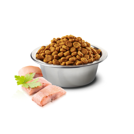 Farmina N&D Dog Ocean Herring Orange Adult Mini 2,5kg Sucha Karma Dla Dorosłych Psów Małych Ras Ze Śledziem I Pomarańczą