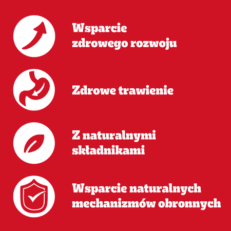 Pedigree Junior Wybór Smaków 80x100g Mokra Karma Dla Szczeniąt Wołowina Kurczak Jagnięcina Ryż W Galaretce