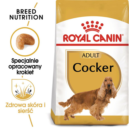 Royal Canin BHN Cocker Spaniel Adult 12kg Karma Sucha Dla Psów Dorosłych Rasy Cocker Spaniel