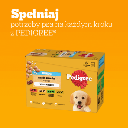 Pedigree Junior Saszetka 36x100g Mokra Karma W Galaretce Dla Psa Mix Czterech Smaków