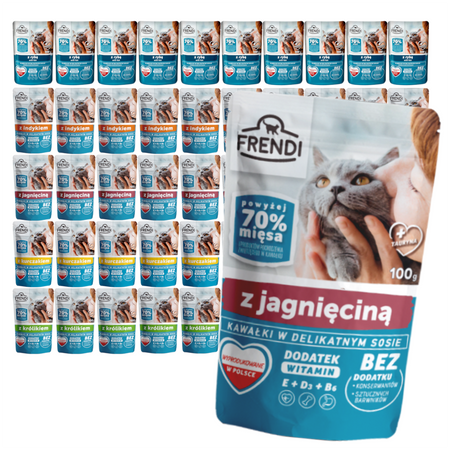 Frendi Mokra Karma Dla Kota Mix Smaków W Sosie 48x100g Ryba Indyk Kurczak Jagnięcina Królik