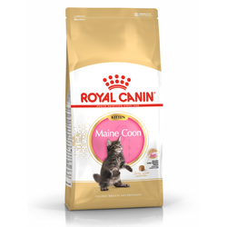 Royal Canin FBN Maine Coon Kitten 10kg Karma Sucha Dla Kociąt Do 15 Miesiąca Rasy Maine Coon