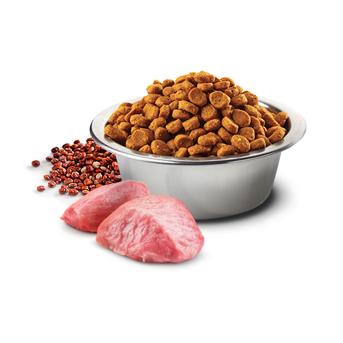 Farmina N&D Quinoa Dog Sucha Karma Dla Psów Ras Z Jagnięciną