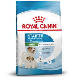 Royal Canin Mini Starter Mother & Babydog 8kg Karma Sucha Dla Suk W Ciąży I Okresie Laktacji Oraz Szczeniąt Ras Małych